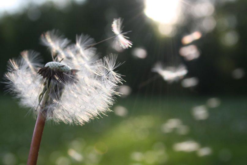 Atskleidžiame visas kortas: visų Zodiako ženklų slapčiausi norai