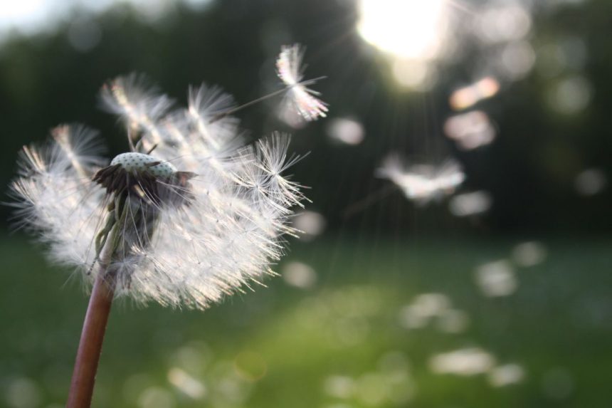 Atskleidžiame visas kortas: visų Zodiako ženklų slapčiausi norai