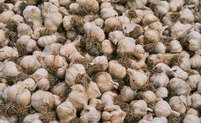 Česnakų derlius gali būti dar didesnis: išbandykite šį metodą