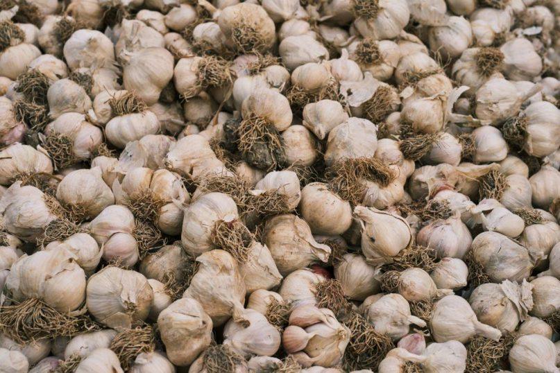 Česnakų derlius gali būti dar didesnis: išbandykite šį metodą