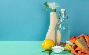 Kaip pašalinti dėmes nuo pūkinės striukės