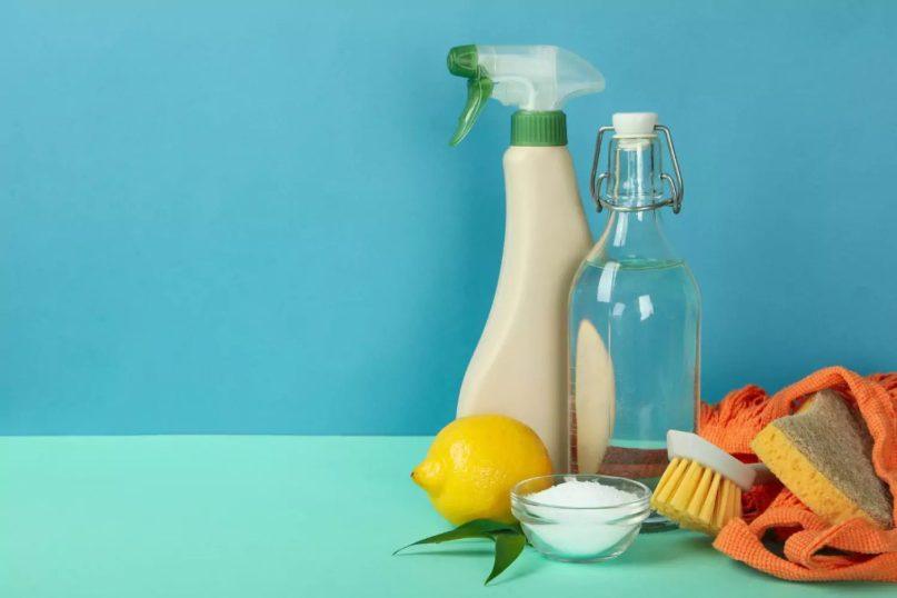 Kaip pašalinti dėmes nuo pūkinės striukės