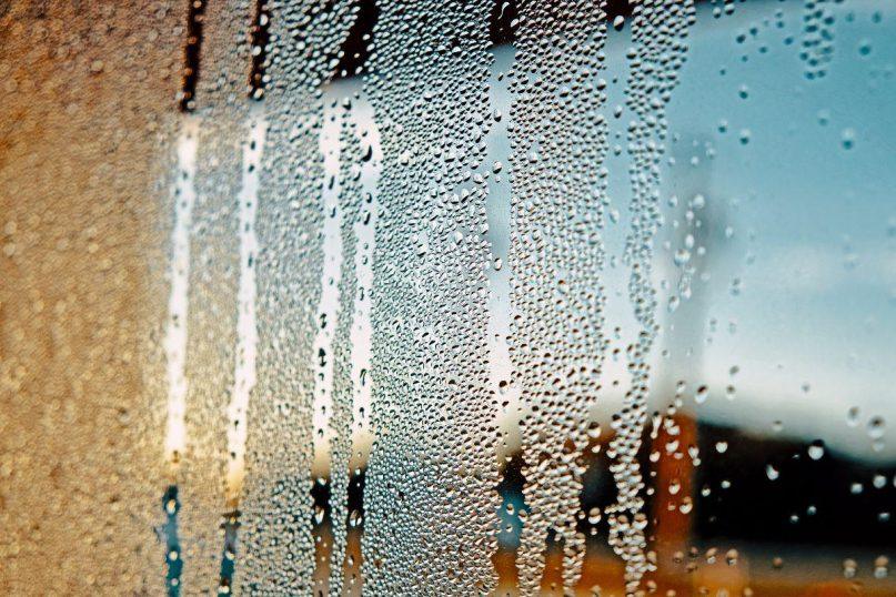 Drėgmė ant langų