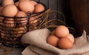 Įdomūs faktai apie vištų kiaušinius: ką tikrai verta žinoti