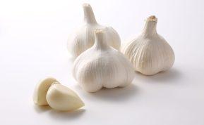 Kada sodinti žieminius česnakus