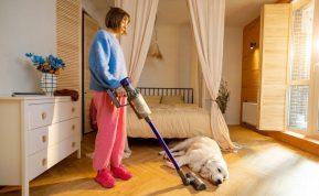 Kaip dažnai reikia siurbti, jei namuose yra augintinių?