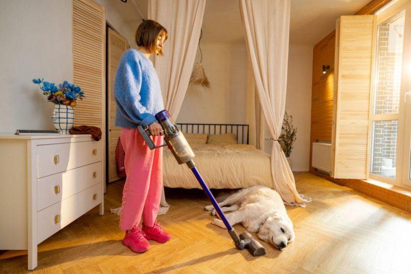 Kaip dažnai reikia siurbti, jei namuose yra augintinių?