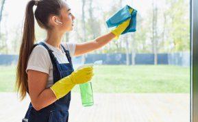 kaip man pavyksta išlaikyti spindinčius langus