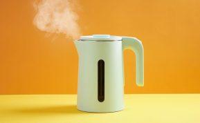 Kaip nukalkinti virdulį? Paprastas ir pigus būdas