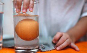 Kaip patikrinti kiaušinių šviežumą?