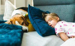 Kas nutinka mūsų kūnui, jei užmiegame iškart po valgio?