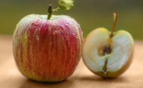 Kodėl obuoliai tamsėja?