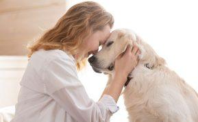 Koks augintinis jums labiausiai tinka pagal jūsų Zodiako ženklą?