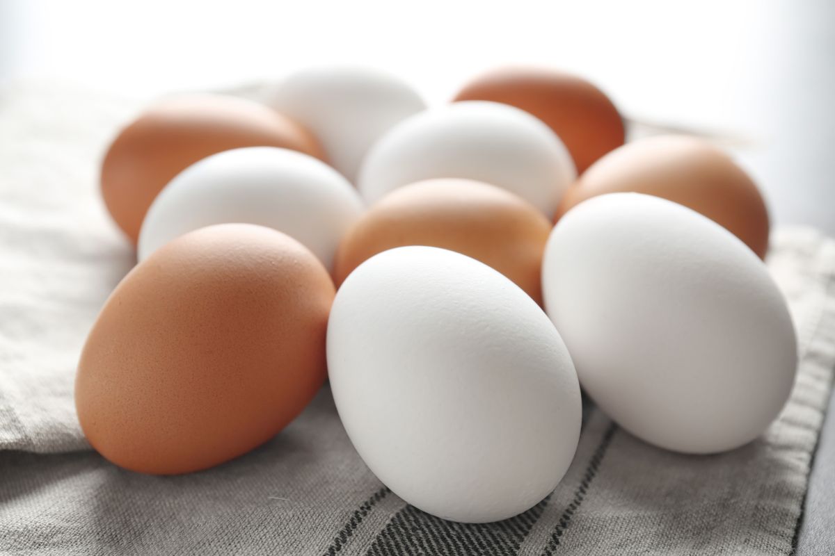 Ar žinote, kuo skiriasi rudi ir balti kiaušiniai? Tai tikrai nustebins!
