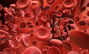 Kurie du maisto produktai gali sukelti trombozę?