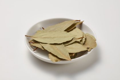 Lauro lapai