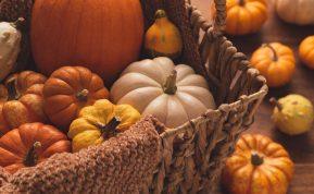 Moliūgų apkepo receptas