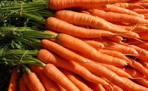 Morkas laikykite stiklainiuose