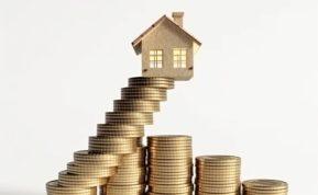 Moteris metus nieko nepirko ir taupė namui. Štai jos patarimai