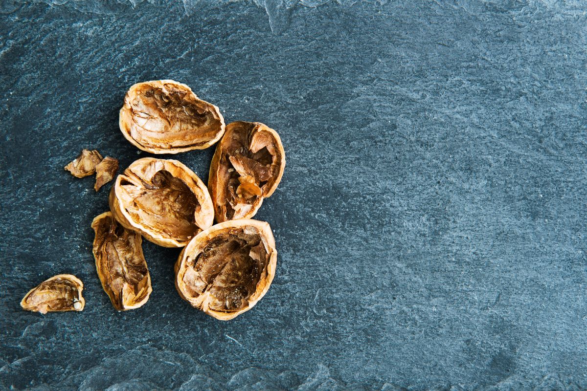 neišmeskite graikinių riešutų kevalų