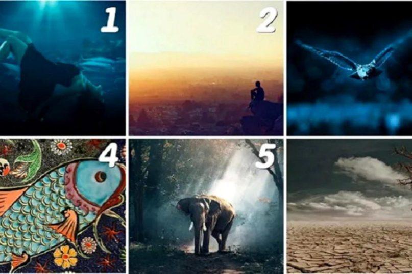 Pranašaujantis testas: sužinokite, kur jus nuves likimas! Šaltinis: namastest.net