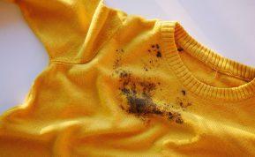 Purvo ir lapų dėmių šalinimas