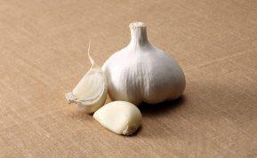 Rudenį sodinamo česnako paruošimas