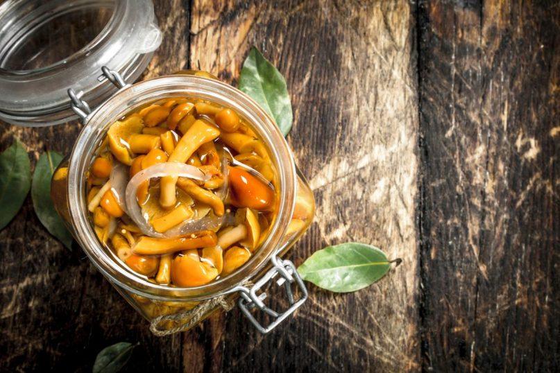 Stiklainiuose marinuoti grybai