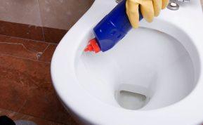 Sužinokite, kodėl prieš naktį į tualetą reikia įpilti acto