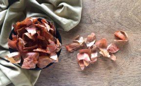 svogūnų lukštų trąšos