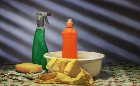 Tvarkausi pagal planą. Mano namai visada yra švarūs!