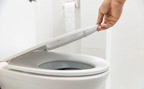 Užpurkškite tai ant tualeto sėdynės ir ji spindės kaip nauja