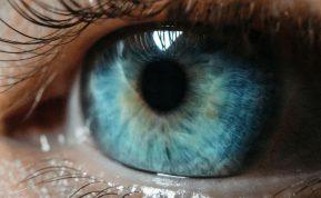 10 įdomių faktų apie žmones, kurie turi mėlynas akis