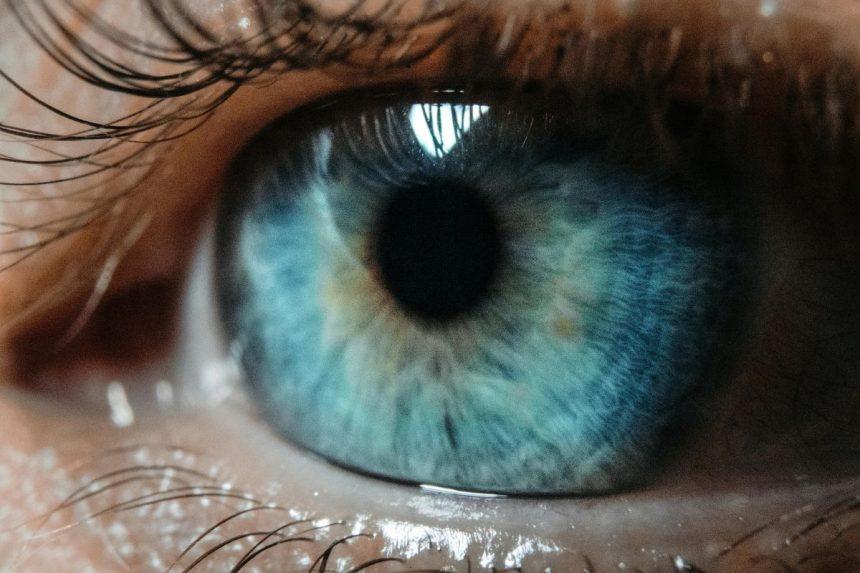 10 įdomių faktų apie žmones, kurie turi mėlynas akis