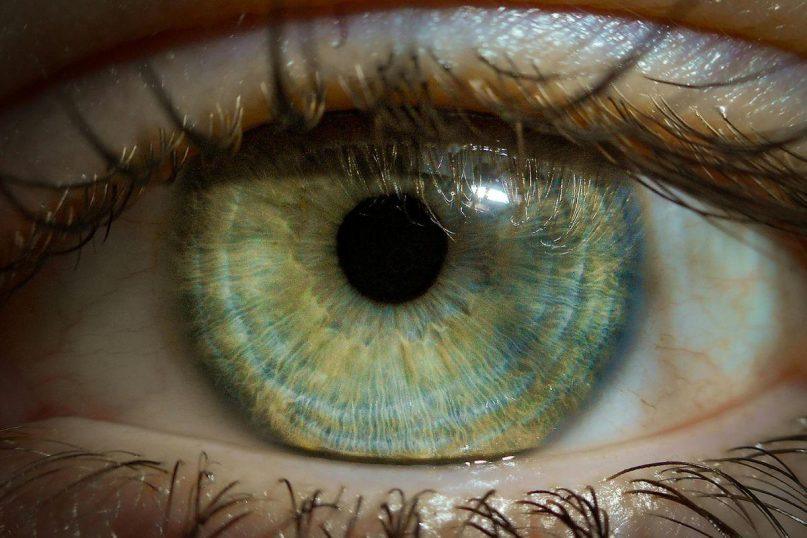 10 įdomių faktų apie žmones, kurie turi žalias akis ir jų energiją