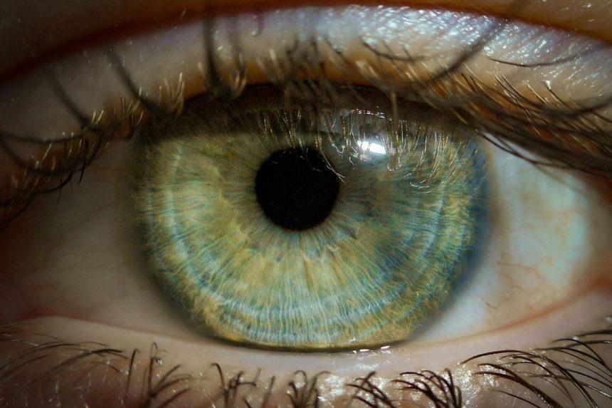 10 įdomių faktų apie žmones, kurie turi žalias akis ir jų energiją