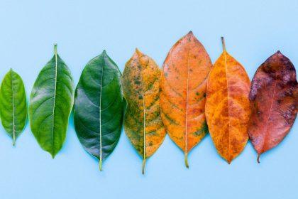 5 ženklai, kad gyvenimas netrukus smarkiai pasikeis