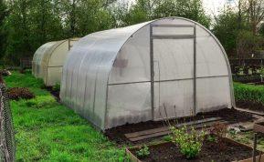 Ar būtina šiltnamyje keisti dirvožemį po sezono? Atsako ekspertai.