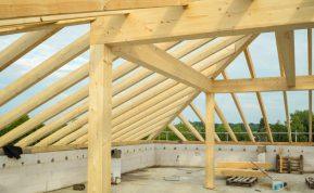 Ar dvitėjinės sijos gali tapti ateities standartu Lietuvoje?