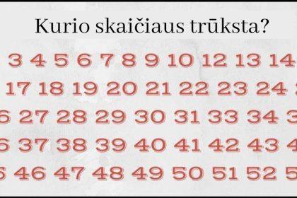 Ar galite greitai rasti, kurio skaičiaus trūksta? Tik keli žmonės tai padaro per 10 sekundžių