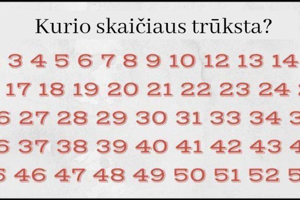 Ar galite greitai rasti, kurio skaičiaus trūksta? Tik keli žmonės tai padaro per 10 sekundžių