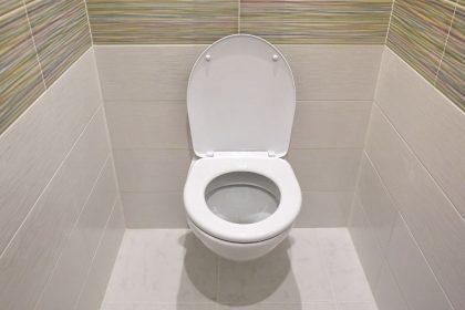 Ar žinojote, kodėl visi klozetai yra tos pačios baltos spalvos?