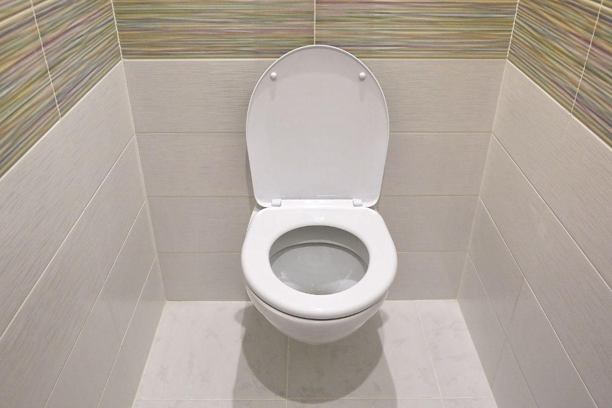 Ar žinojote, kodėl visi klozetai yra tos pačios baltos spalvos?