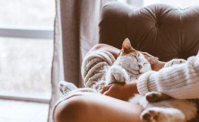 Ar žinote, kodėl katės mėgsta miegoti prie žmogaus kojų?
