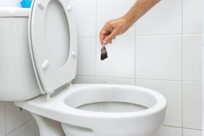 Arbatos maišeliai klozete: paprastas triukas, kuris pašalina kalkes ir nešvarumus