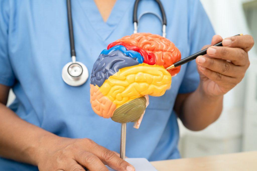Atrastas netikėtas Alzheimerio ligos šaltinis? Mokslininkai nustebę. Enzimas DGAT2