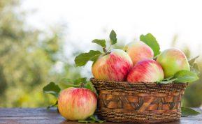 Kokie 5 maisto produktai greitai numalšina alkį: mitybos specialistai įvardijo geriausius pasirinkimus