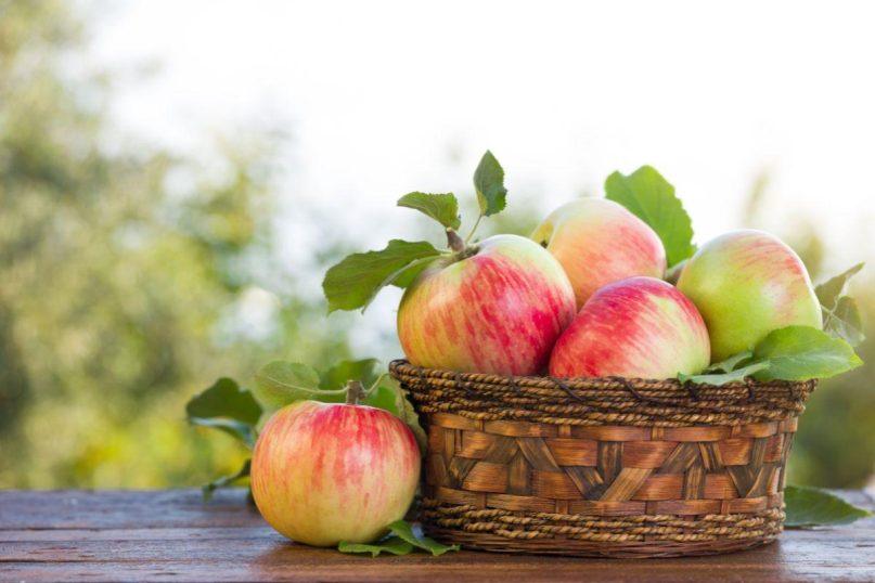 Kokie 5 maisto produktai greitai numalšina alkį: mitybos specialistai įvardijo geriausius pasirinkimus