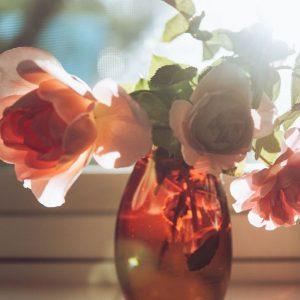 Floristų triukas: kaip priversti skintas rožes išsilaikyti ilgiau nei kelias dienas