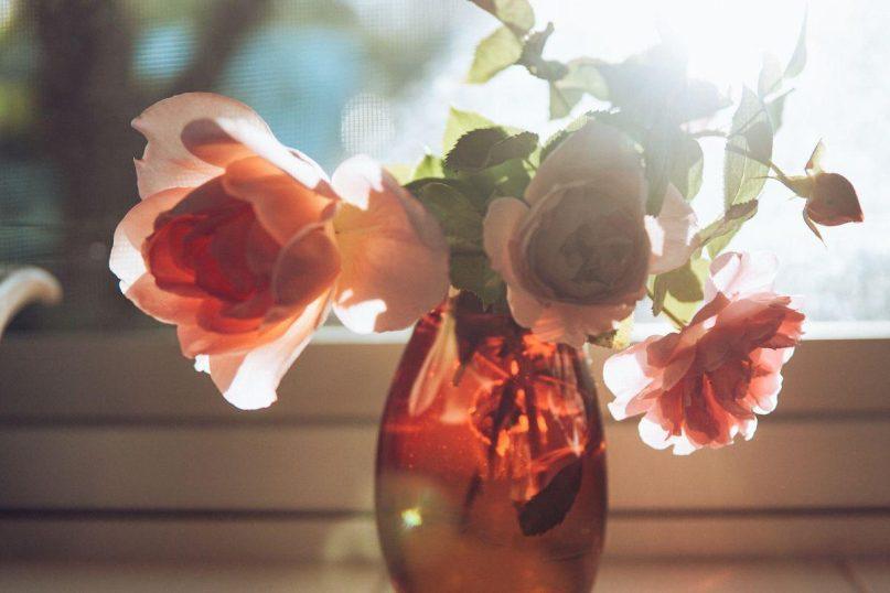 Floristų triukas: kaip priversti skintas rožes išsilaikyti ilgiau nei kelias dienas